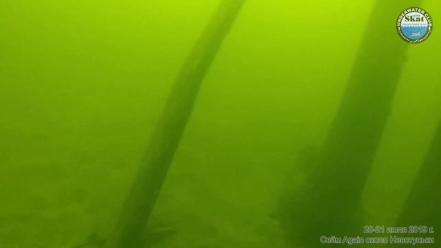 2019_07_20-21 - Сейм Again около Невстуньки смотреть онлайн