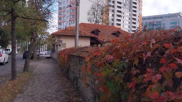 Молдова.Кишинёв.Дом-музей А.С.ПУШКИНА.3.11.23. смотреть онлайн