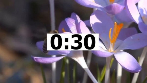 A HEALTHY LIFESTYLE (Тренажер ЕГЭ)