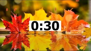 ADVANTAGES AND DISADVANTAGES OF ONLINE EDUCATION (ФИПИ)