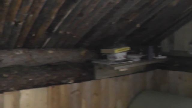 365 дней В ЛЕСУ! Быт, рыбалка, стройка. Жизнь в ИЗБЕ - ЗЕМЛЯНКЕ. DIY смотреть онлайн