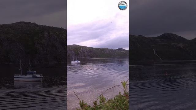 Прилив и отлив на реке Титовка – река бассейна Баренцева моря смотреть онлайн