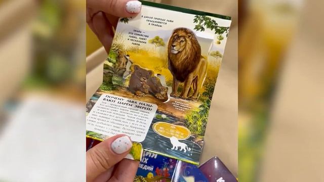 сундучки энциклопедии 1 и 2 смотреть онлайн