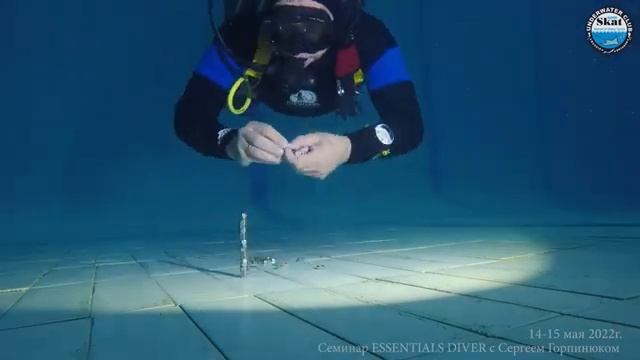 2022_05_14 -15 - Семинар ESSENTIALS DIVER с Сергеем Горпинюком смотреть онлайн