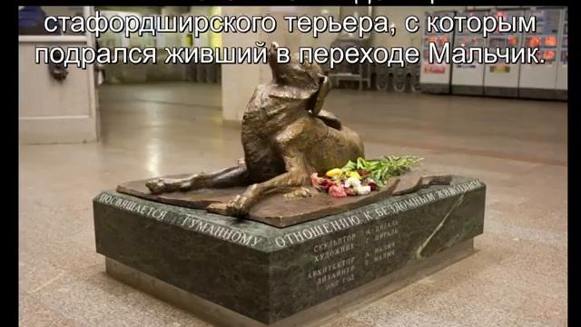 4 октября — Всемирный день защиты животных. Видеообзор самых известных памятников животным смотреть онлайн