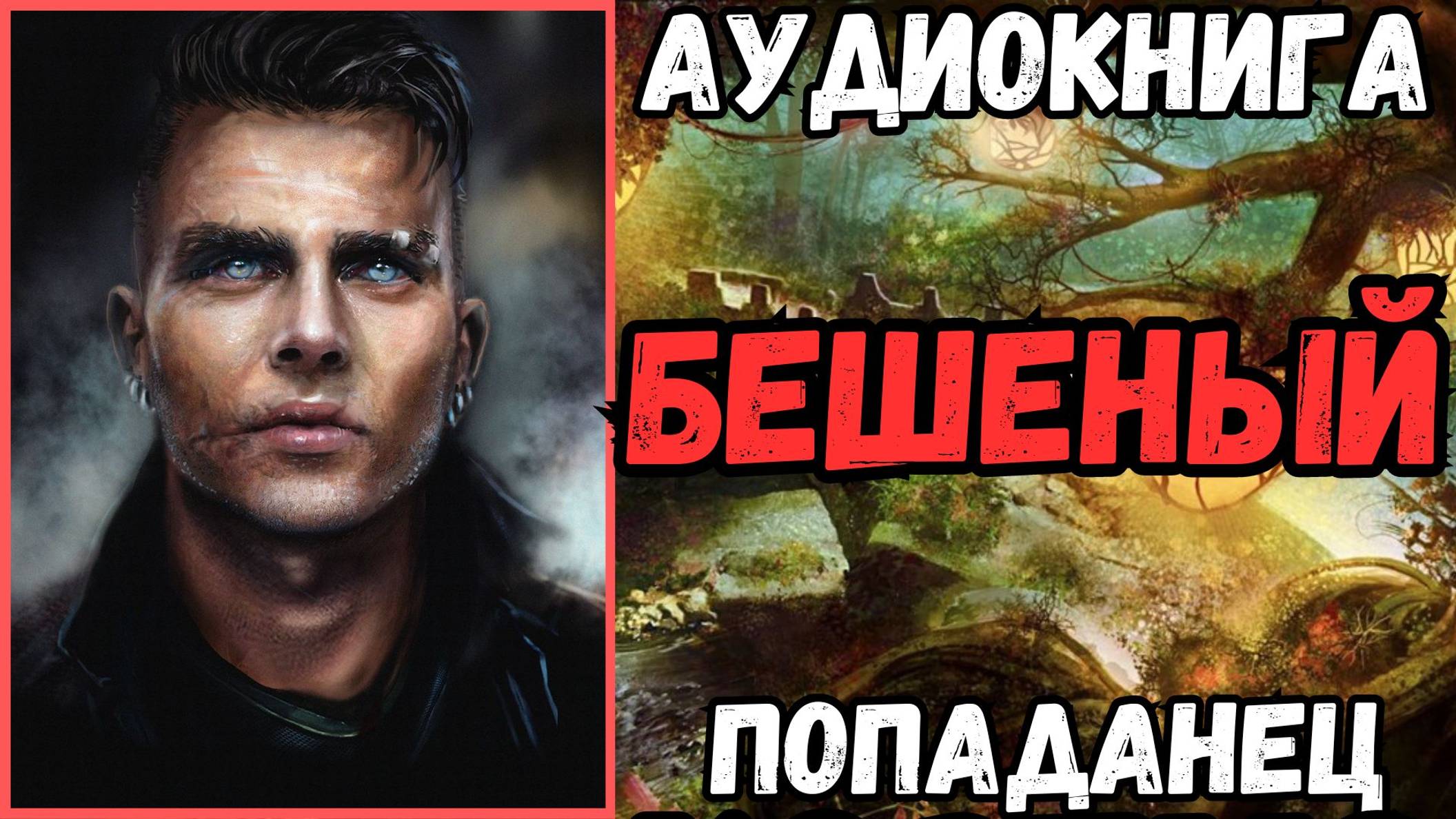 Аудиокнига | ПОПАДАНЦЫ: Бешеный смотреть онлайн