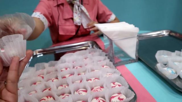 DESSERT MUSEUM VLOG WITH MEILI | Philippines смотреть онлайн