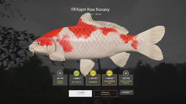 Рр4. Медное без ПВА