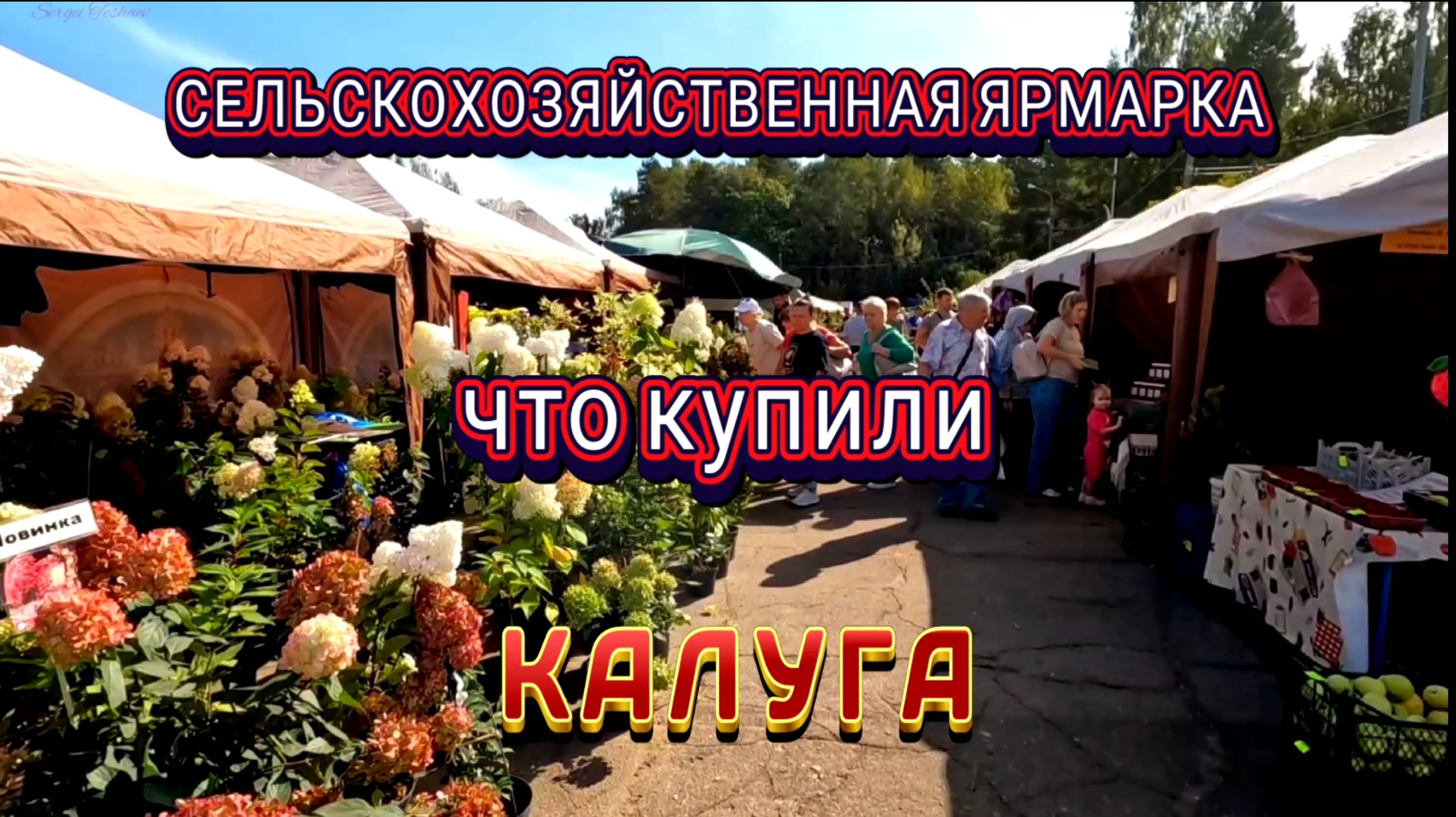 СЕЛЬСКОХОЗЯЙСТВЕННАЯ ВЫСТАВКА - КАЛУГА. Что мы купили там.