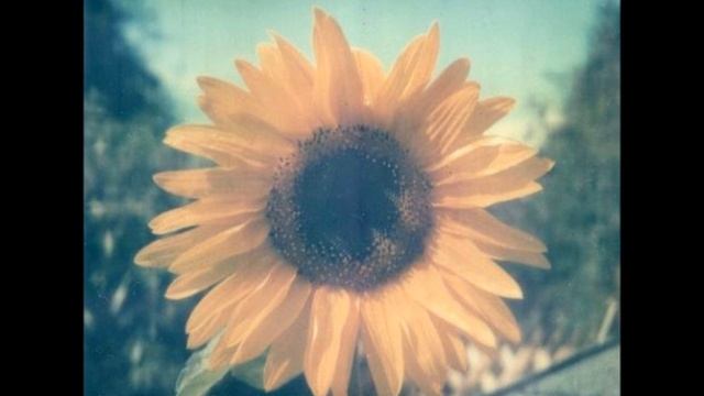 Elizabeth Mitchell - You Are My Sunshine смотреть онлайн