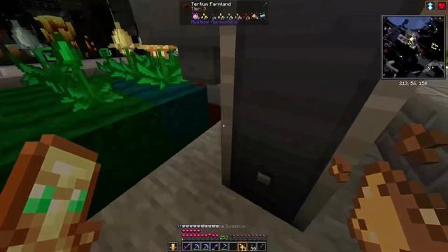 Create Stellar 143 - Seed Processing For Fun And Profit!