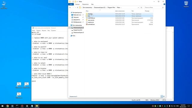 Настройка RaveOS для соло майнинга на своей домашней ноде через интернет. Nexa Solo Raveos