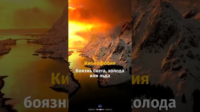 #факт #природа