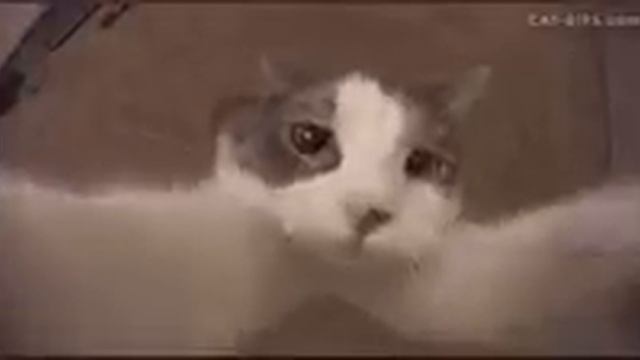 г смотреть онлайн