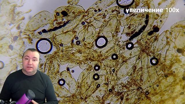 Банан под микроскопом | Почему растения используют крахмал для хранения смотреть онлайн