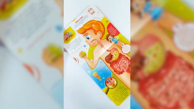 Книга с окошками "Как устроен человек?" смотреть онлайн