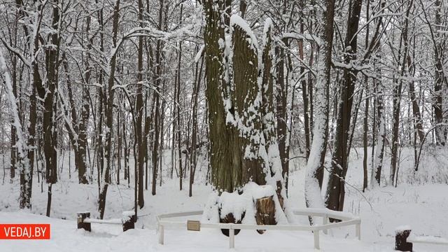 Залессе - Палацава-паркавы ансамбль і музей Міхала Клеафаса Агінскага ўзімку смотреть онлайн