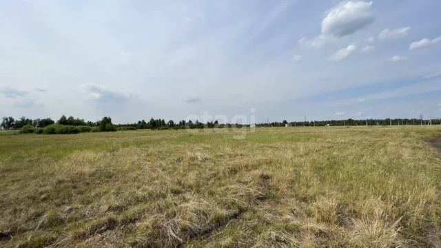 9850305 смотреть онлайн