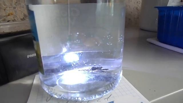 10 Тестирование сухого осадка с эфиппиями дафний моина. смотреть онлайн