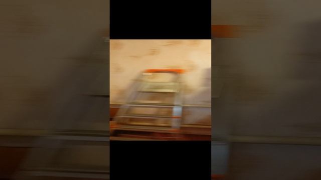 11455042 Дом в с.Ливенка Красногвардейского р-на Белгородской обл (89102267717 Ирина Борисовна) смотреть онлайн