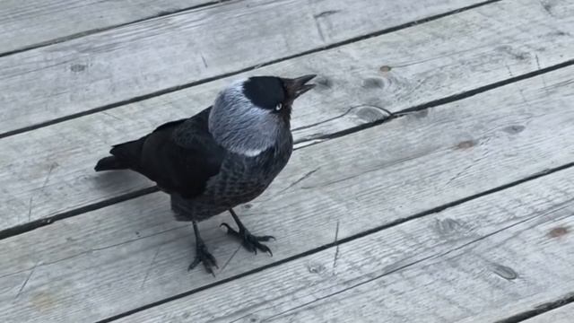 Boston. Foreplay - Long Time смотреть онлайн