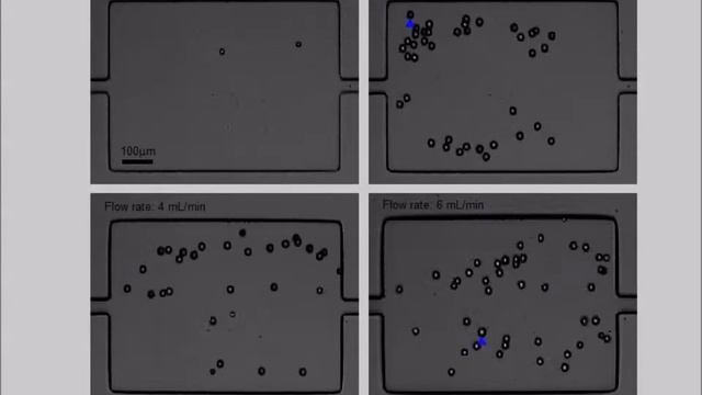 Size-Selective Collection of Circulating Tumor Cells using Vortex Technology смотреть онлайн