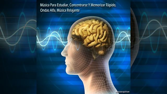 Música Para Estudiar, Concentrarse Y Memorizar Rápido, Ondas Alfa, Música Relajante