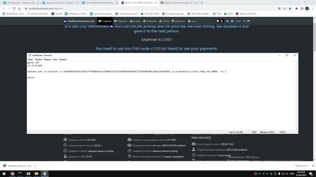 Получаем адрес для майнинга монеты IronFish и настраиваем майнинг на пуле без комиссии!