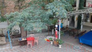 Аурелия Судак. Панорама