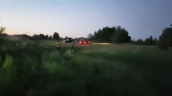 Бородач Встрял