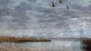 Hовинка 2024. Одинокая душа - Zhamil Turan