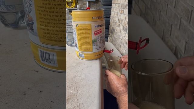 Загниваем в Америке #сша#иммиграция смотреть онлайн