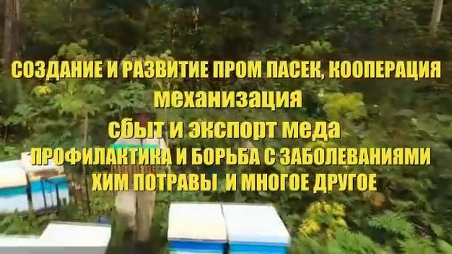 02.11 - 03.11 съезд промышленных пчеловодов в Ростове-на-дону. СППТС смотреть онлайн