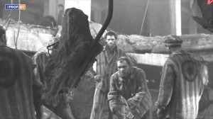 ТОП-5 белорусских фильмов о войне