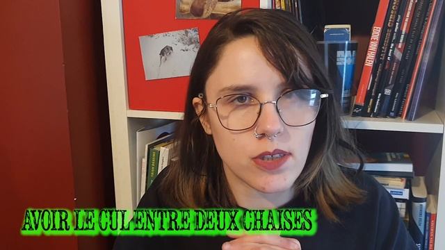 Books inspired by french sayings 📚🇲🇫 смотреть онлайн