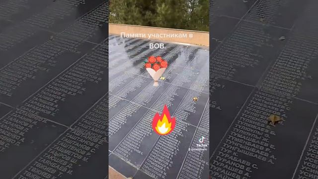 Участникам ВОВ посвящается.Мгновения. Кавер версия.