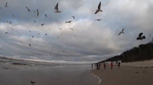 ЕДЕМ В ЮРМАЛУ! ДОМ ЛАЙМЫ ВАЙКУЛЕ. КОРМИМ ПТИЦ НА БАЛТИКЕ! ГОРОДСКОЙ МУЗЕЙ ЮРМАЛЫ.