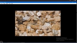 РК 29.11.2020. Песок и его тайны. Музей песка в Королёве.