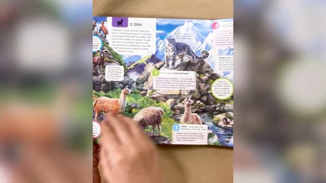 Энциклопедия открытий Животные смотреть онлайн