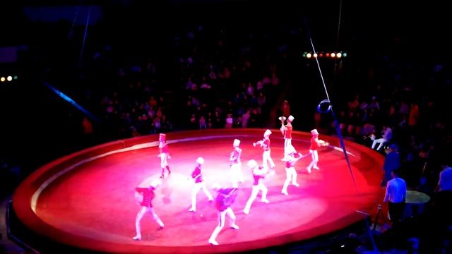 The National Circus of Ukraine Слон и полосатый рейс смотреть онлайн