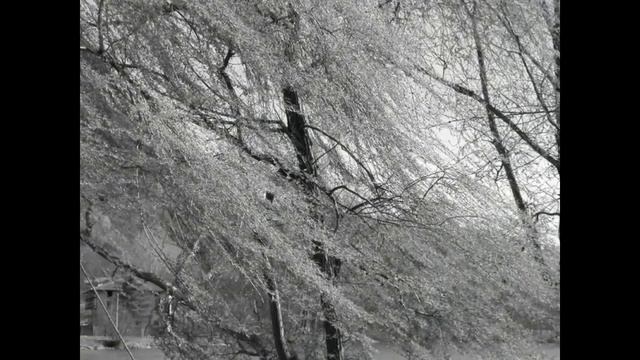 Giacomo Leopardi; L'Infinito