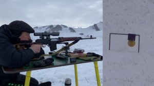 СВД/ТИГР стрельба на 300м