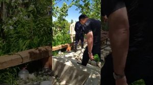 Музей жанарслана Кадар