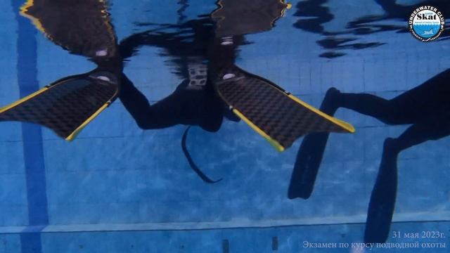 2023_05_31 - Экзамен по курсу подводной охоты смотреть онлайн