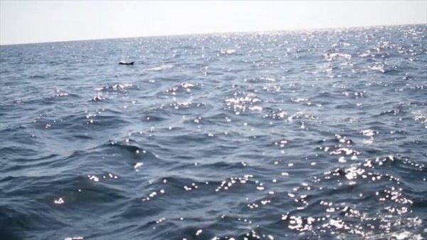 B2_U2_Working at sea_Great_Learners_Great_Thinkers_video