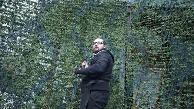 Тесты, вошедшее и не очень, оператор потерял колено смотреть онлайн