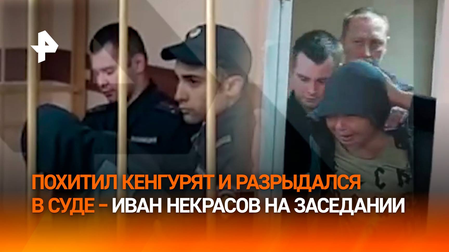 "Он очень любит животных": похититель кенгуру Иван Некрасов разрыдался в суде смотреть онлайн