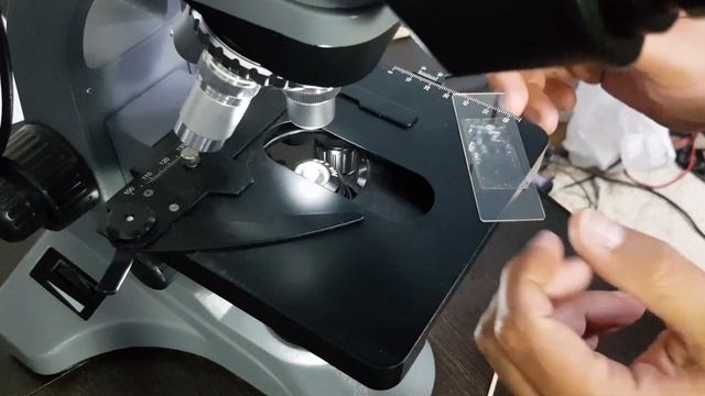 Клещ ДЕМОДЕКС против крема Солантра, спирта и Хлоргексидина| Угревая Железница Demodex смотреть онлайн