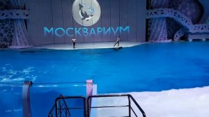 Москвариум . самое крутое шоу в Европе.