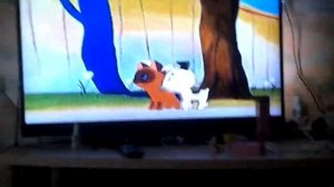 Котёнок по имени гав союс мультфильмов